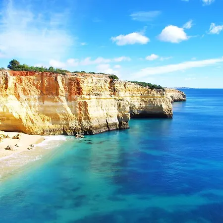 Homes Da Rocha Elegant 50 M Away From The Ocean Lejlighed *