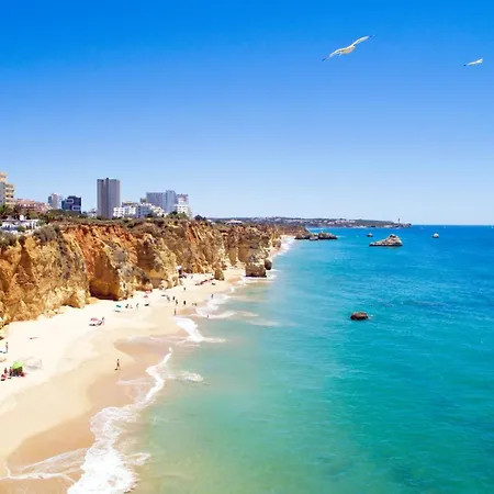 Lejlighed Homes Da Rocha Elegant 50 M Away From The Ocean *