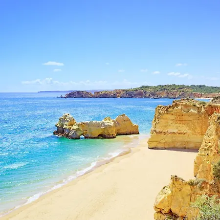 Homes Da Rocha Elegant 50 M Away From The Ocean Lejlighed